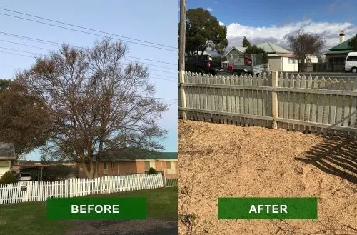 Tree removal and mulching job by Urban Arb Solutions in Southport